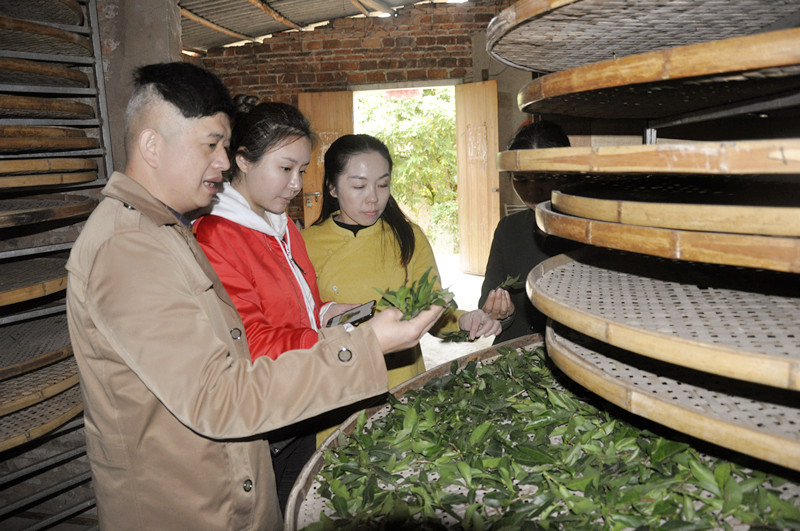 武夷山想学茶道在哪里可以学呢?