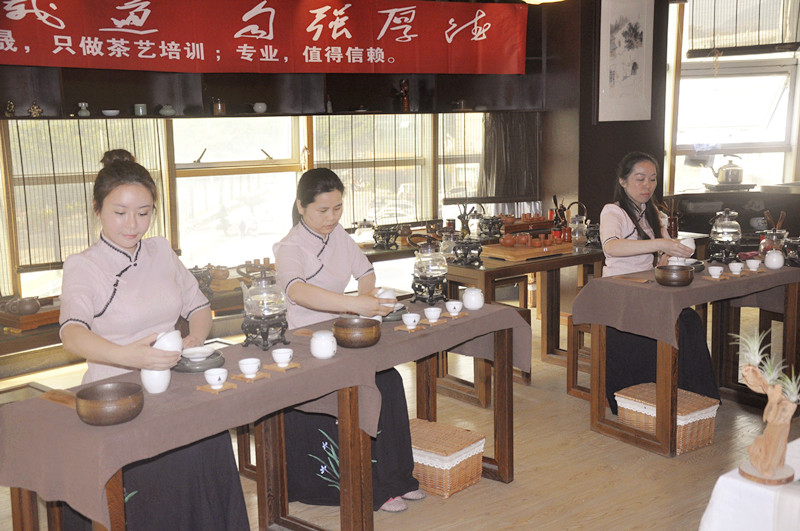 武夷山茶艺培训只学茶艺表演吗?